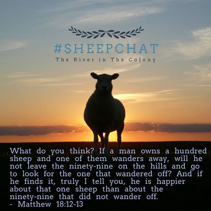 The_RiverTC's tweet photo. Today's message, "Sheep Matter" is the second in the SheepCHAT series. Check this out! God loves you no matter wha… https://t.co/1GI0XaDTD6 https://t.co/QRBKC5hW9a