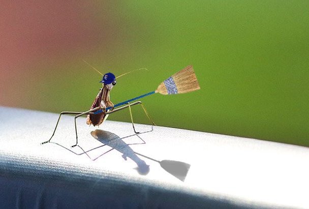 iamrallymantis's tweet photo. #rallysweep https://t.co/3GcCt2HTSI