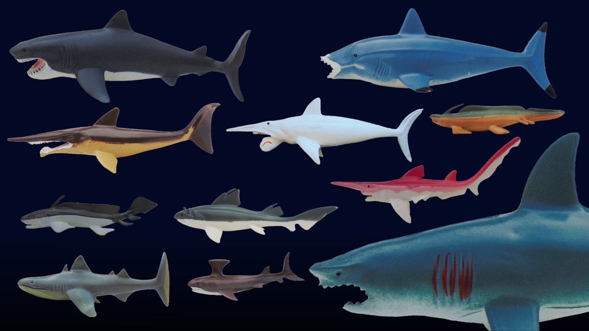 YES! #SharkWeek commercial featuring prehistoric sharks! Some of my favorites!