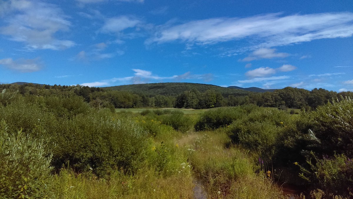 John M Benevides tweet media