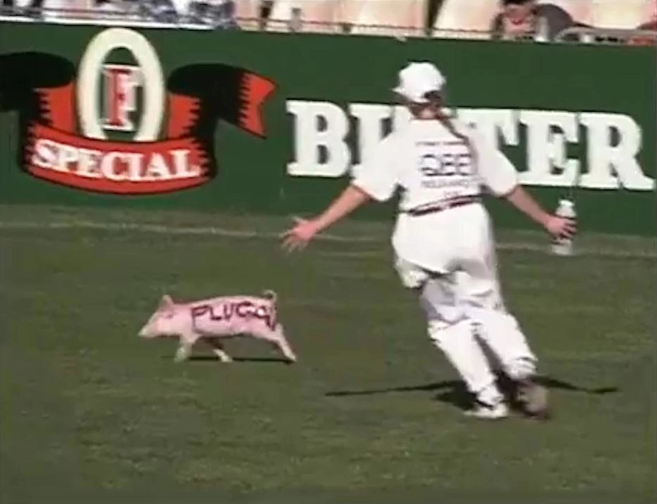 #ICYMI “There’s a pig on the ground. There’s a pig at full forward!” <a href="/TheFiftyFooty/">The Fifty</a>
thefiftyfooty.com/2017/05/20/exp…