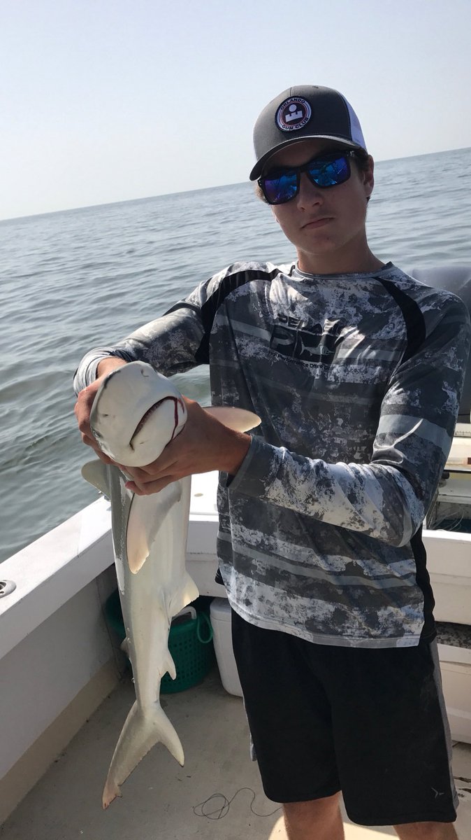 BassinBackwoods's tweet photo. This shark was released after the photograph, let's protect sharks! @SharkWeek #CatchNRelease #StopSharkFinSoup #SupportOurSharks https://t.co/5D335MmD06