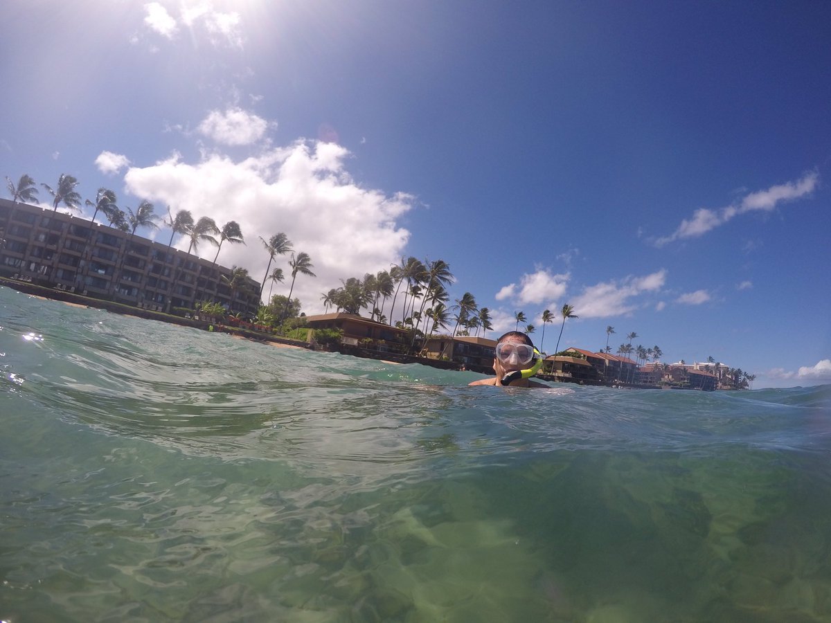 cjohnstonn8's tweet photo. We saw trumpet fish &amp; turtles today 🐢 #day2 https://t.co/KX8Y9IBdyy