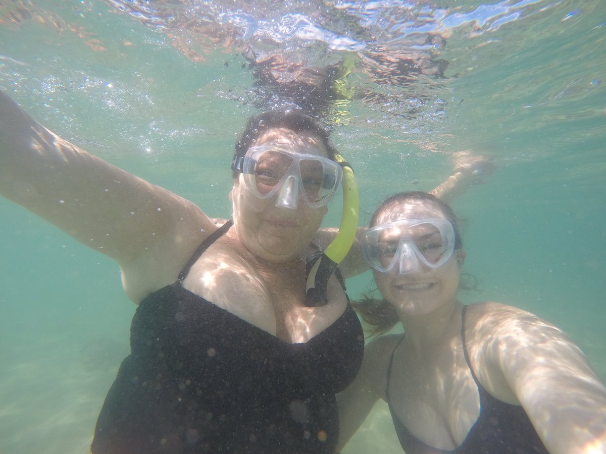 cjohnstonn8's tweet photo. We saw trumpet fish &amp; turtles today 🐢 #day2 https://t.co/KX8Y9IBdyy