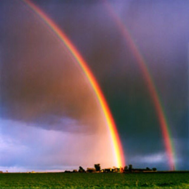 TShuttlesworth8's tweet photo. A true covenant prefers another based on the knowledge that both are better together than they are separately.
#2XCovenant https://t.co/s77rSZ3aOs