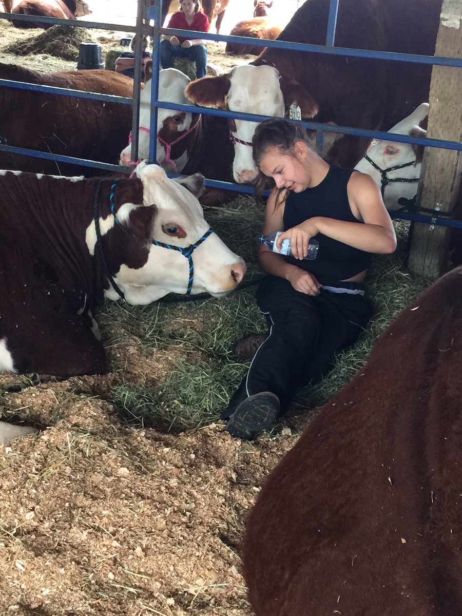 SPerlinger's tweet photo. It's not always about being a soccer goalie. Keeping my roots in cattle too.
#soccer #goalie #secondlife #hereford #cattle #cjha https://t.co/pwCff6aDGv