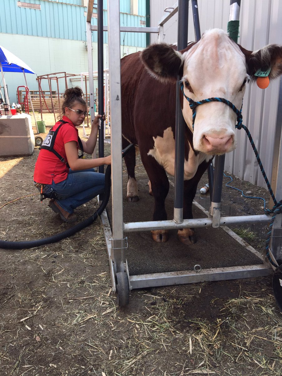 SPerlinger's tweet photo. It's not always about being a soccer goalie. Keeping my roots in cattle too.
#soccer #goalie #secondlife #hereford #cattle #cjha https://t.co/pwCff6aDGv