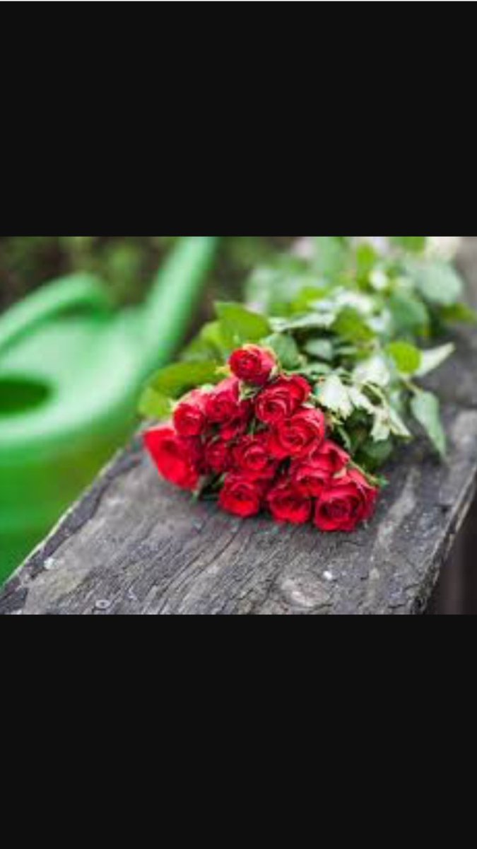 ss4sd's tweet photo. صباح الورد🌹

https://t.co/cXcn5gecag

#اذكار الصباح والمساء🌹”

#الالماني_للدعم
#قروب_دنيتي_للدعم
#قروب_غزاني_الشيب
#السلطانه_للدعم https://t.co/nmNZI7UEY4