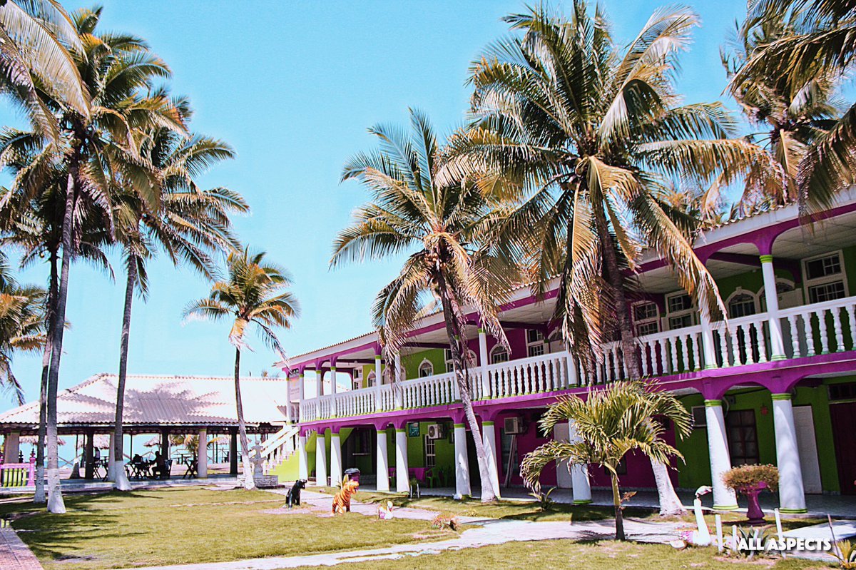 AllAspectsCG's tweet image. All Aspects| Photography