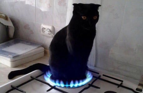 elcosodelapizza's tweet photo. Cuando te acostumbras a que la vida te trate mal. https://t.co/mJXCNC6dKR