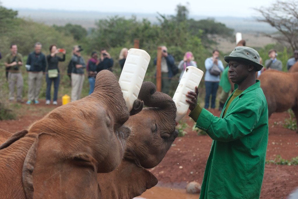 letsgosafari1's tweet photo. Nairobi Day Trips,walking adventure offering you a leisurely  immersion in Nairobi's local &amp; adventure life.Check👉 https://t.co/QZUhe1fhXb https://t.co/2hl7QpsVHL