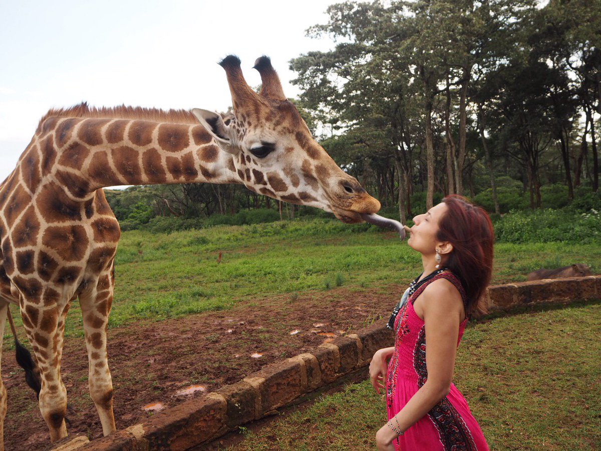 letsgosafari1's tweet photo. Nairobi Day Trips,walking adventure offering you a leisurely  immersion in Nairobi's local &amp; adventure life.Check👉 https://t.co/QZUhe1fhXb https://t.co/2hl7QpsVHL