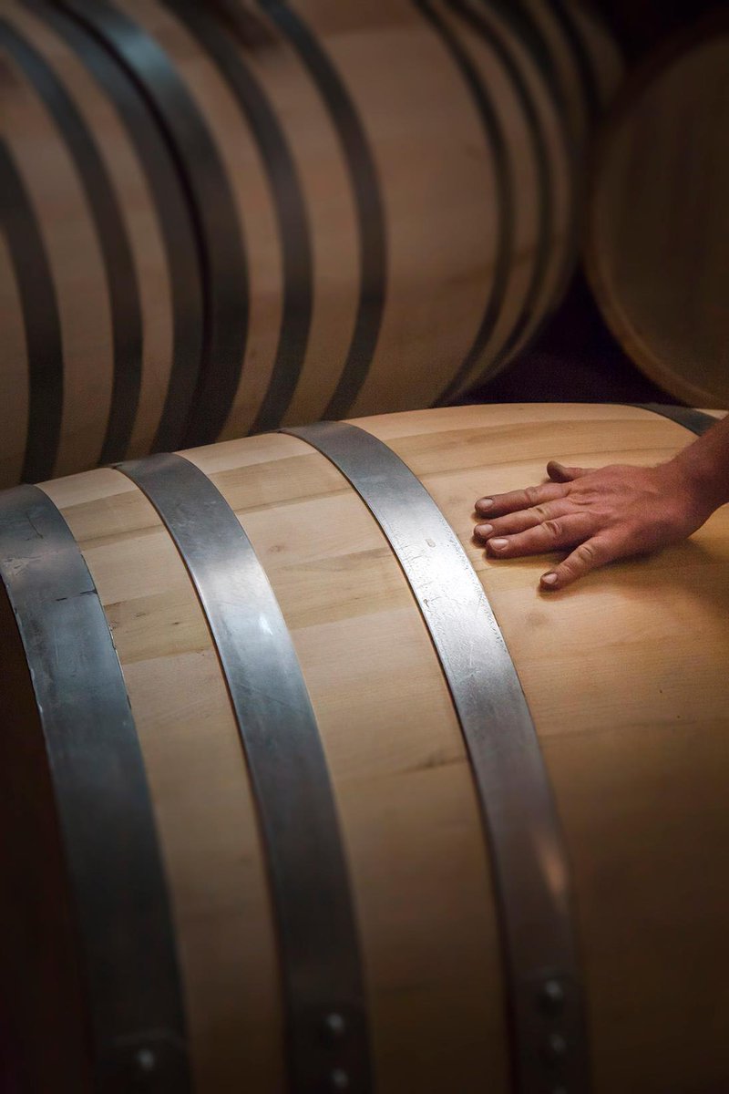 MarzadroDistill's tweet photo. Arrivate le nuove #botti di acacia da 550 e 750 litri nelle quali riposerà la #Grappa #LeDiciottoLune. Aspetteremo pazientemente il #2019! https://t.co/XIIA2ozMC5