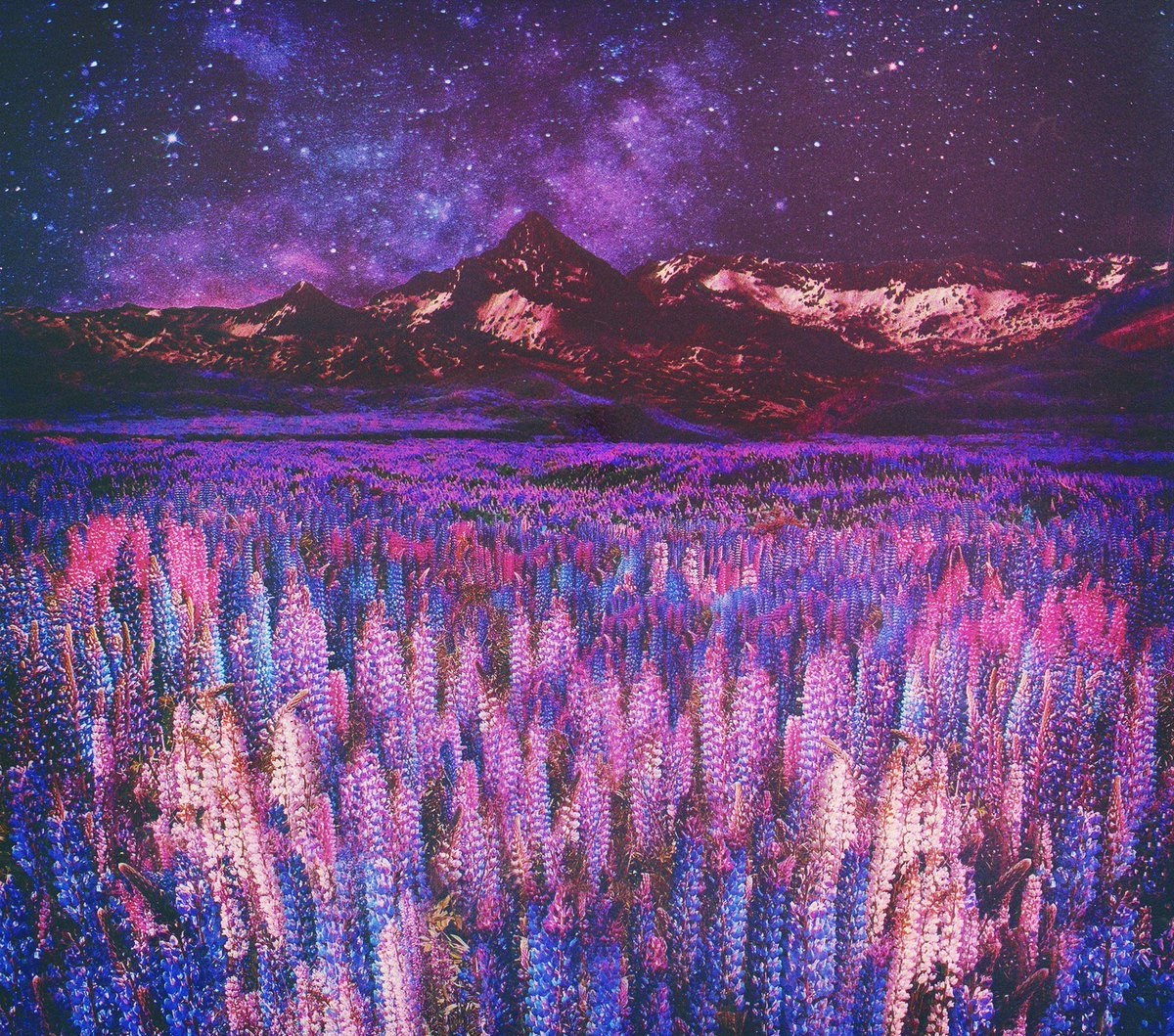 GroovyRoom (@offclgroovyroom) | Twitter