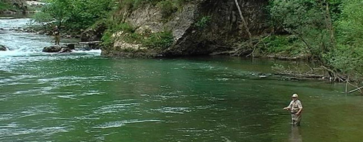 LukrisSL's tweet photo. Pezcador al día, principales noticias de pesca (Julio 2017, 3) https://t.co/L2kWE9ONnl #pescadeportiva #noticiasdepesca #trucha #salmon https://t.co/cD5GtJoYYL