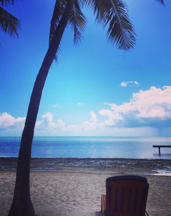 style_venturer's tweet photo. #mondaymotivation #bluesky #sea #seaview #sunbed #sunshine #paradise #beach #florida #floridakeys #floridalife #beachlife #view #travel 💙🌴 https://t.co/A2viOTKslm