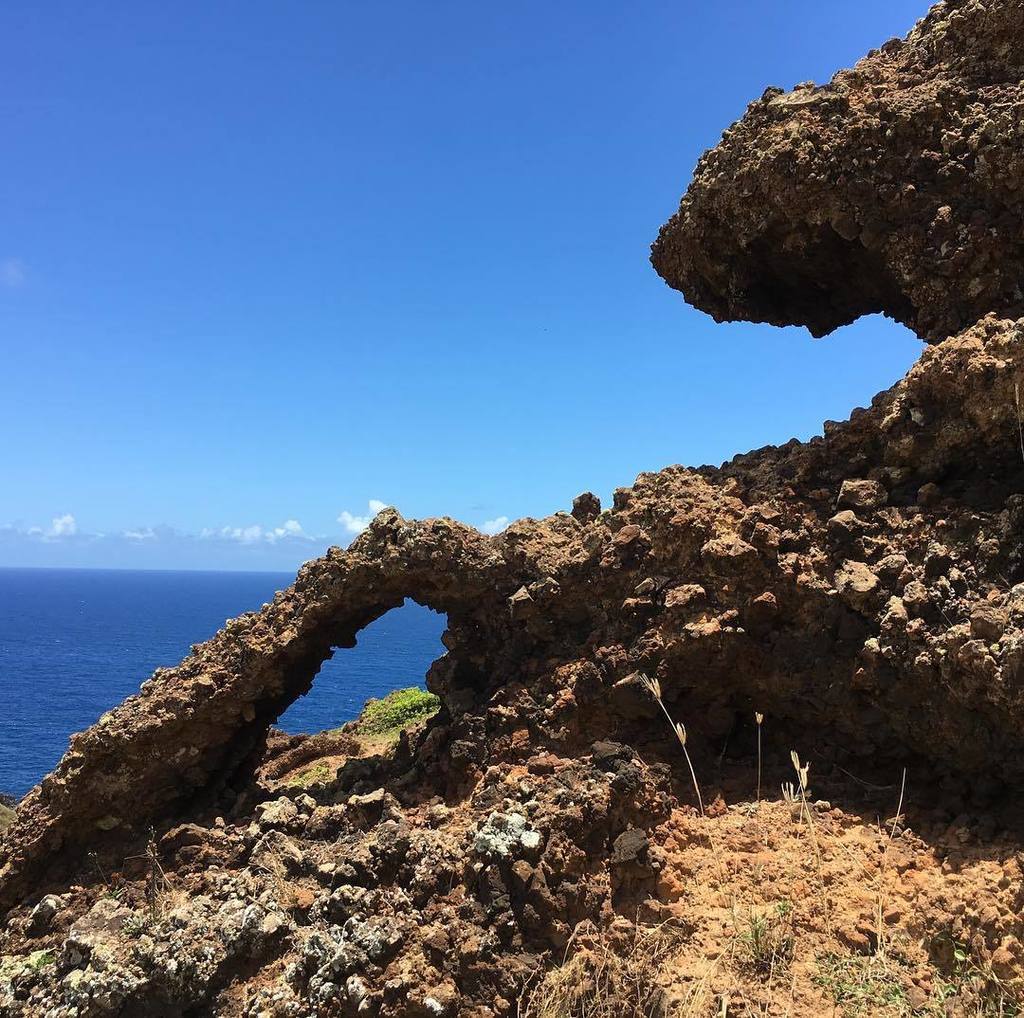 Christofani Ridge Christina Cheney (@christinachirps) | Twitter