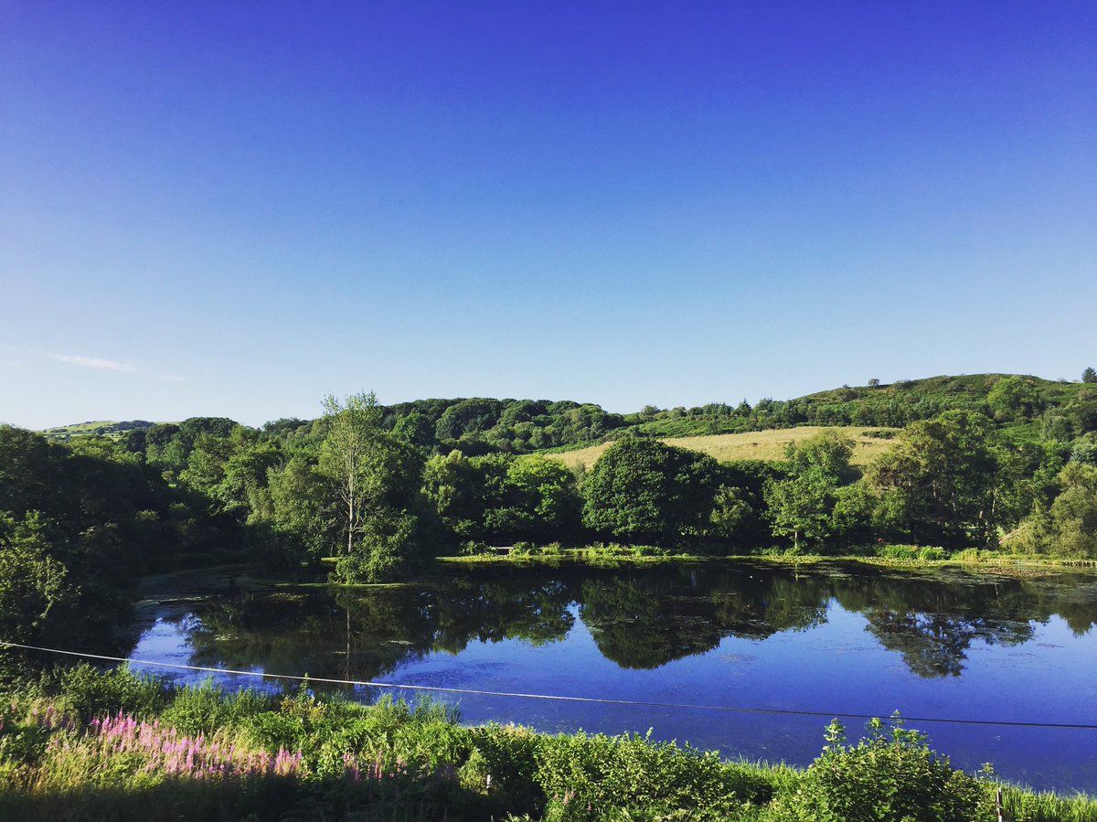 StuartLTait's tweet photo. Great view from our cabin this morning. #Scotland https://t.co/1IrP4m3jkz