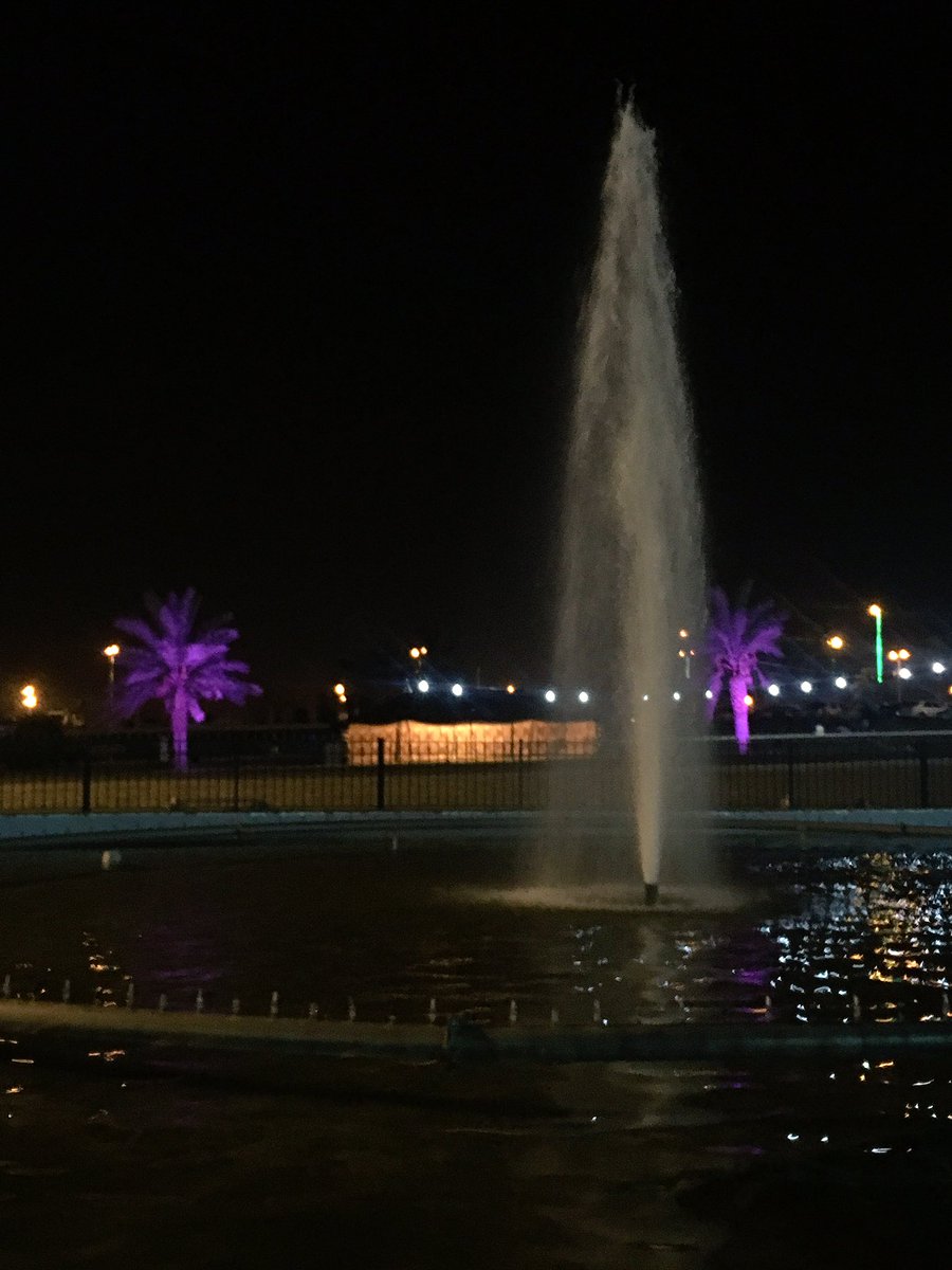 rolasalih tweet picture