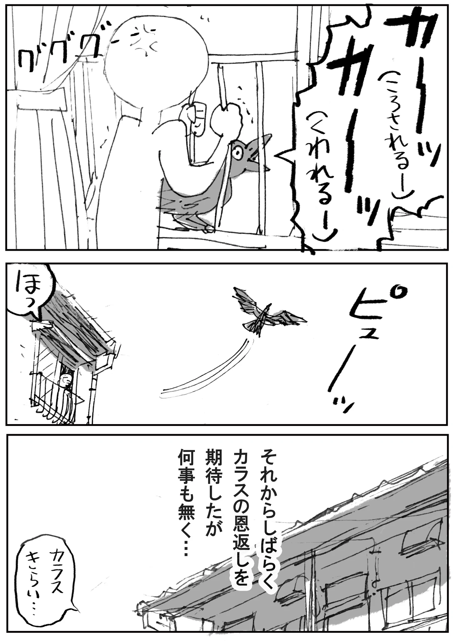 こんな恐怖体験した人いる？家の柵にカラスが挟まってるし、上空は殺気立ったカラスの大群が集まってる話ww