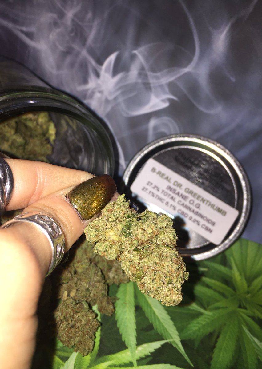 EUCLIDMC's tweet photo. Let's be real....our new Dr. Greenthumb insane OG is looking amazing as ever 🍃🌱🔥 you gotta come check it out. You won't be disappointed! https://t.co/MW1djxomuf