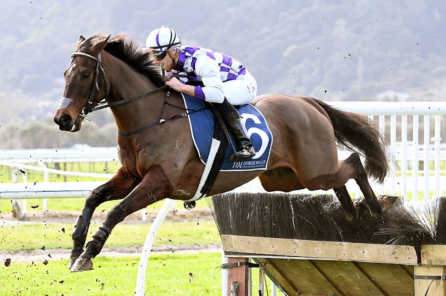 nzracingnews's tweet image. #FastCatch impresses in his new role as a hurdler after dealing to a handy field at Te Aroha. @samlogan7 racingnews.co.nz/blog/post/1930…