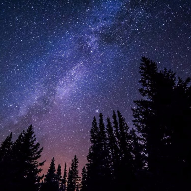 CaptainsCatchFL's tweet photo. Starry skies have nothing on you. https://t.co/opWPLQAHaK