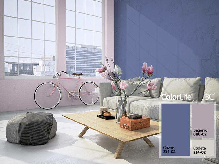 ComexPintu's tweet photo. Elige tres colores dentro de la misma familia y crea el balance perfecto. #ComexPinturerías #3C #CombinaciónPerfecta #Comex #ColorGratis https://t.co/hoy4yNL9x5