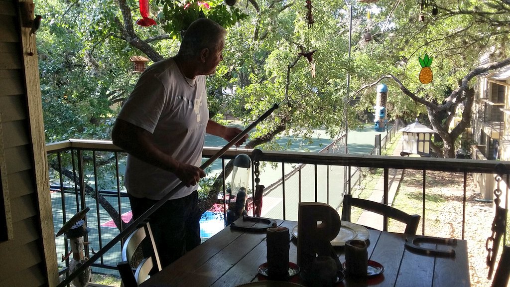 Doritoz65's tweet photo. Meanwhile Up in the TreeHouse 🌴 https://t.co/NykPUUSuQL