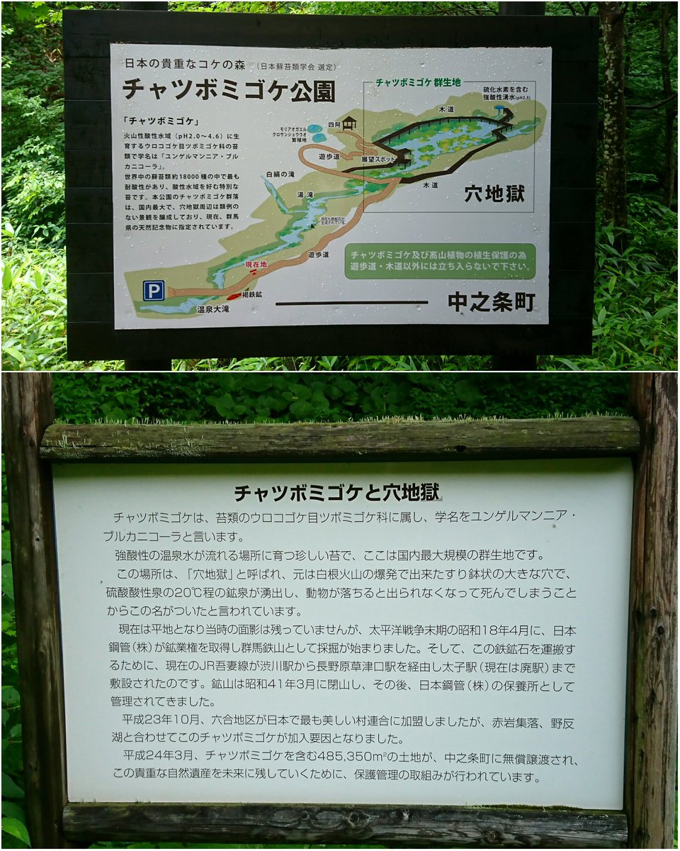 チャツボミゴケ公園 チャツボミゴケ公園