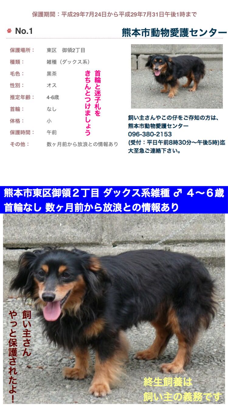 大隅it推進 Oosumi It Twitter