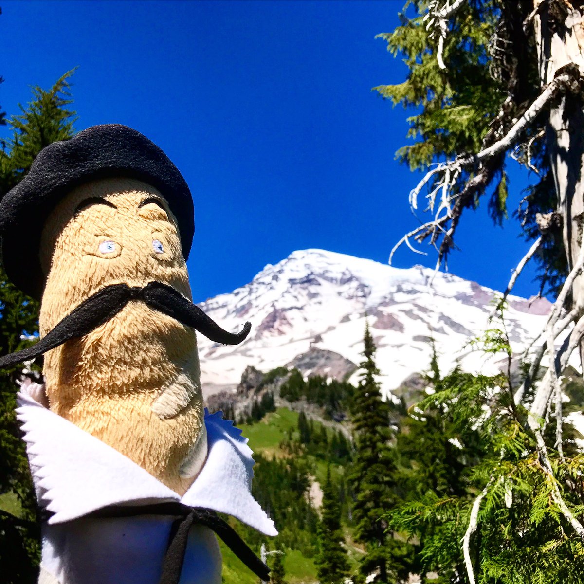 bread_tweets's tweet photo. The Peak! You expect me to believe this is snow after June?!  Julying! 🌲🏔🏕🌲🥖🎨📚
#explore #mtrainier #julying #jacquesinasmock #books #hiking https://t.co/ksCli4aFo9
