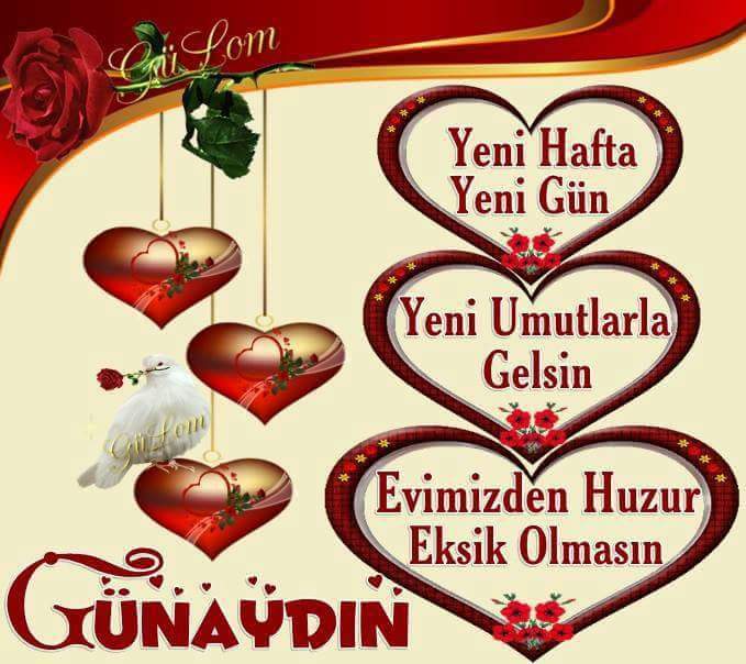 Semih Demirci (@semihde82651974) on Twitter photo 