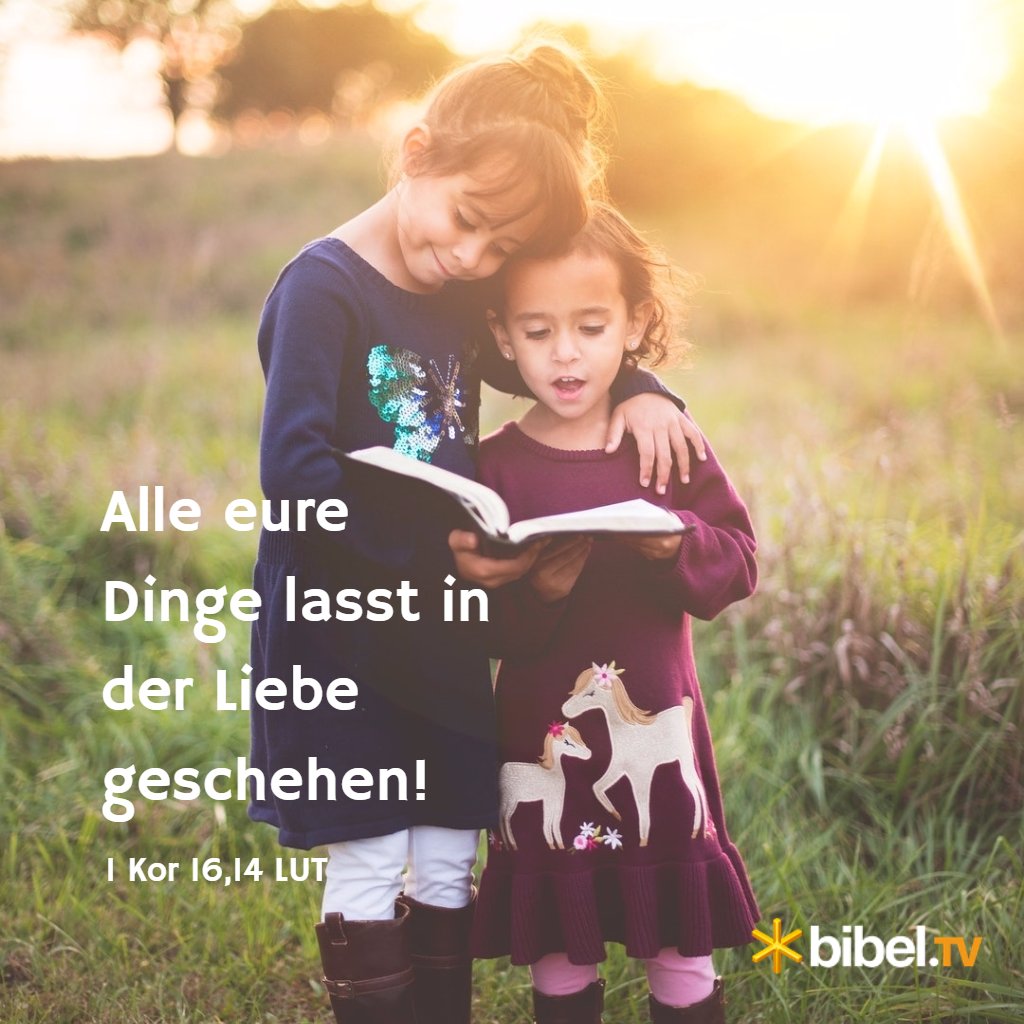 BibelTV's tweet photo. "Alle eure Dinge lasst in der Liebe geschehen!" 1 Kor 16,14 #bibelwort #bibelpur #scripturesnack #tagesvers #bibel #bibeltv https://t.co/Kr03bwmNvj