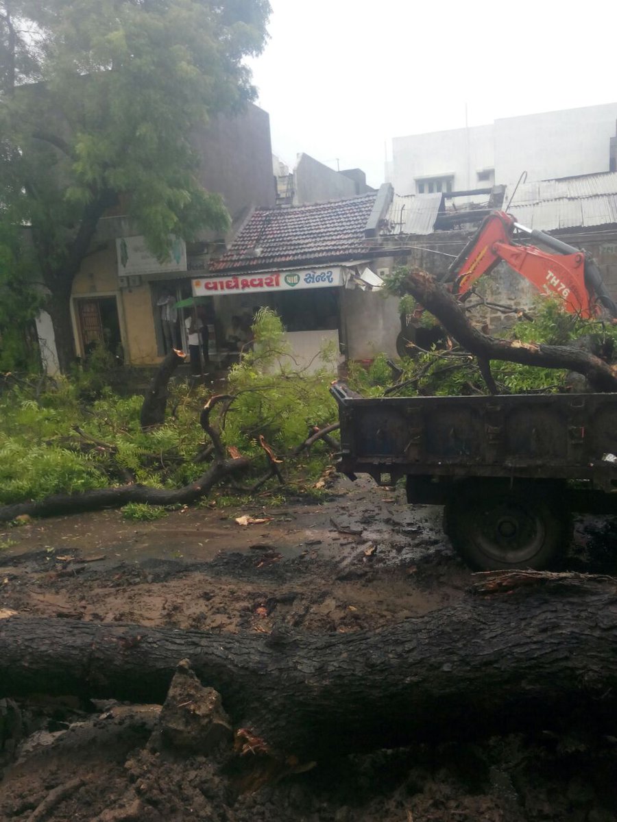 જો.નગર મા ભારે વરસાદથી રસ્તા પર ઝાડ પડી ગયેલ જે ન.પા. દ્રારા તાત્કાલિક જેસીબિ વડે દુર કરી રસ્તો ખુલ્લો કરાવ્યો. <a href="/CollectorSRN/">Collector Surendranagar</a> <a href="/sdmwadhwan/">Dycollectorwadh</a>