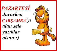 Peyami__Safa's tweet photo. #pazartesisendromunagerekyok https://t.co/eGSxRGi32q