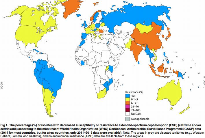 LizPozInOz's tweet photo. #GASP! 
#AMR in N. gonorrhoeae to ESC's is increasing. They are the last class of antibiotics still effective https://t.co/wbCP1l9j5L #clap https://t.co/hg1ZtoaZ5L