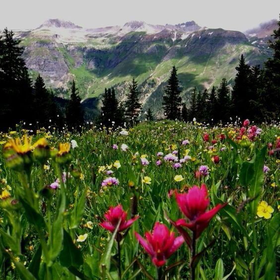 Wonderful new day !!