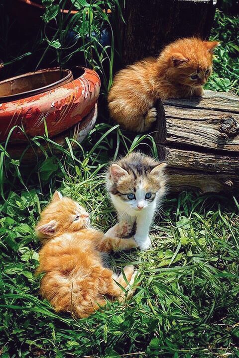 <a href="/viktorinini/">💓𝔙ℑ𝔎𝔗𝔒ℜℑ𝔄💓</a> <a href="/valeriazolota/">VALERIA 🙏🇺🇦🙏</a> <a href="/NkViktori42/">🍀VLADIMIRA🍀💚🍀💚🍀</a> Good morning my sweet sisters 🐱🐱🐱😸🎵💞
Wishing you a happy new week 🌺🌼🌸🍀😉😘👍