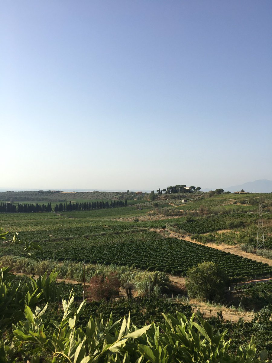 ItalyDailyPics's tweet photo. Frascati https://t.co/ya1bmk5trE