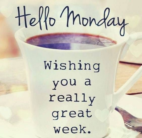 efusioninfo's tweet photo. Happy Monday... :)

#EfusionInfotech #Jaipur https://t.co/ZHMZKfEmle https://t.co/2k7LJsuw7w