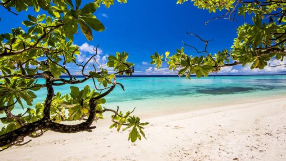 Exploit the high Aussie dollar while you can goo.gl/cyUBMw #Indonesia #MondayMotivation