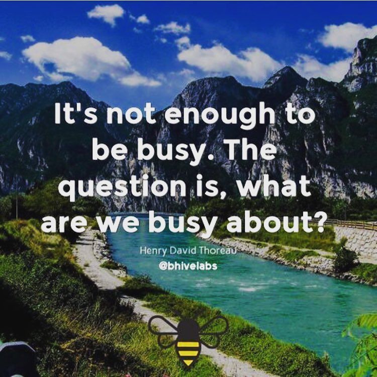 DentistryBee's tweet photo. On being busy. 🤗🙏🏼🐝
#BHIVE Perspective
.
.
.
.
.
#entrepreneur #smm #startups #bhivelabs #entrepreneurship #startu… https://t.co/JchkPJp1pA https://t.co/mmSxx3zZQz