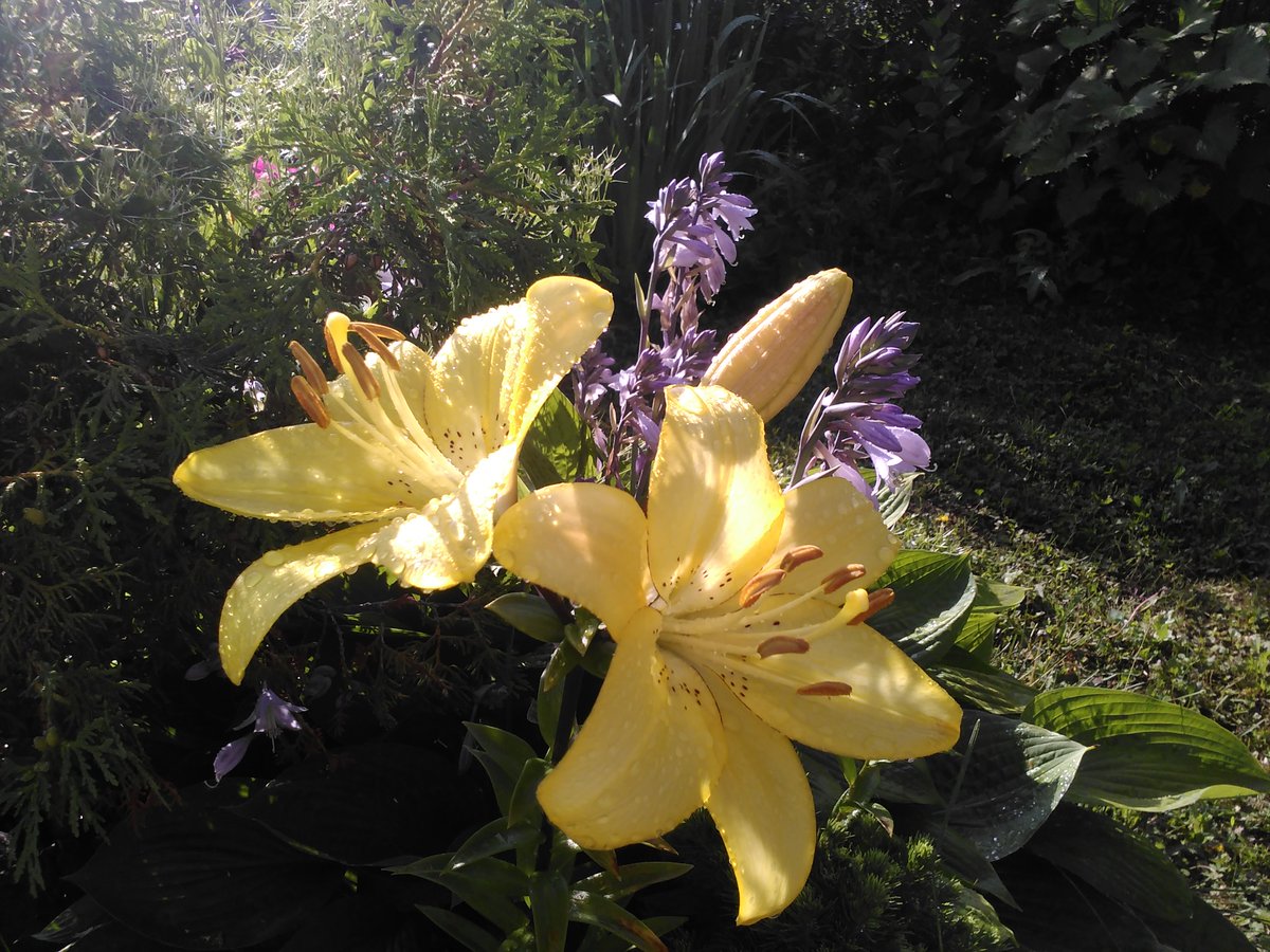 @saki_tokyojapan <a href="/MarionSpekker/">Marion Spekker</a>