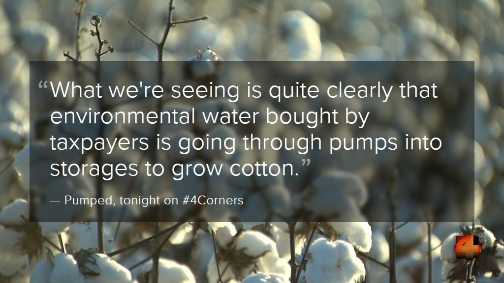 neighbour_s's tweet photo. Water paid for by taxpayers to save the Murray-Darling is being poured into massive cotton farms. Watch 'Pumped' #Corners @AusConservation https://t.co/jCYAB9qGPa