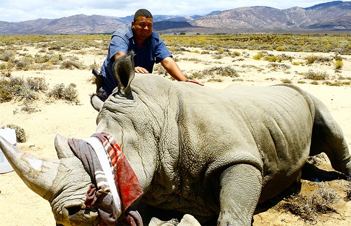 rhinoprotect's tweet photo. Working hard to save rhinos from poachers in the Western Cape back in 2011. #conservation #rhino #anitpoaching #westerncape @Inverdoorn https://t.co/bl5eNtvHMn
