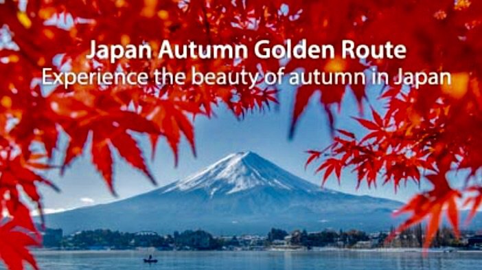 WeGoJapan's tweet image. Experience the beauty of autumn in Japan, with a special tour that takes you to the seasons most popular locations.