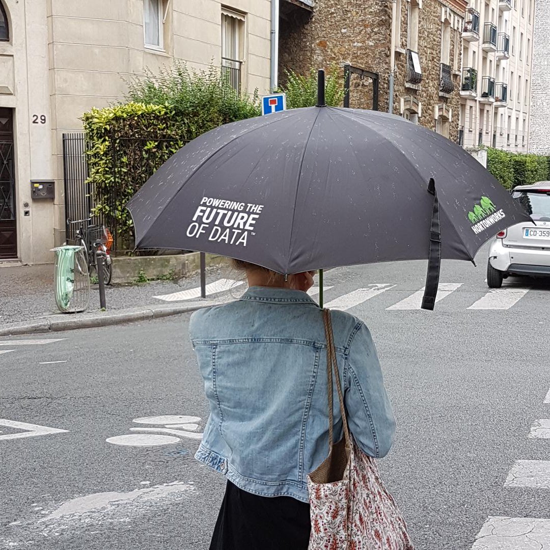 VitorLundberg's tweet photo. #hortonworks  #BigData #Paris https://t.co/u9XUPdnkcS