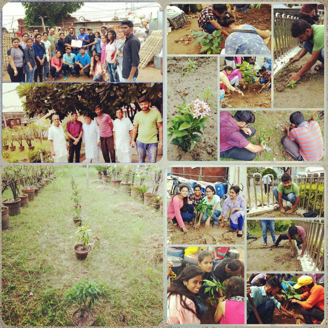 rc_calcutta's tweet photo. Rotaract Club of Calcutta planted saplings at Ram Thakur Ashram on 22nd July, 2017
#RotaractCalcutta
#Rotaract
#Rotaract3291
#TreePlantation https://t.co/c3SwOpsQKH
