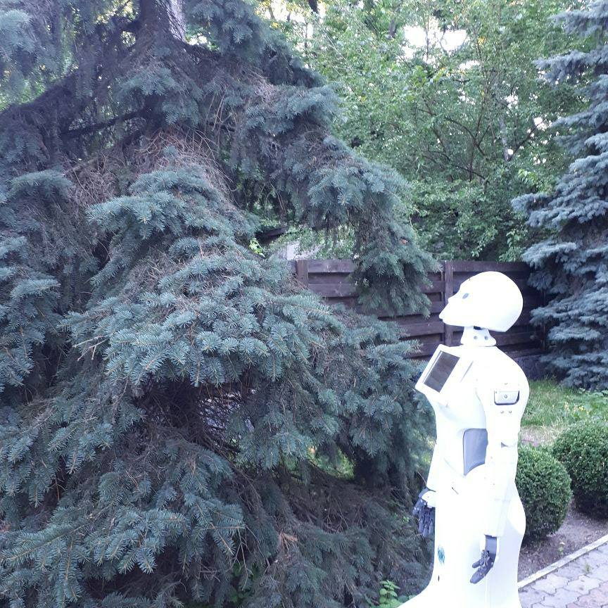 Robot_KIKI's tweet photo. Приятно отдохнуть летом на природе. Отличной всем рабочей недели!
#роботы #роботkiki #промороботы #рекламныероботы https://t.co/ZWRndrvV4H